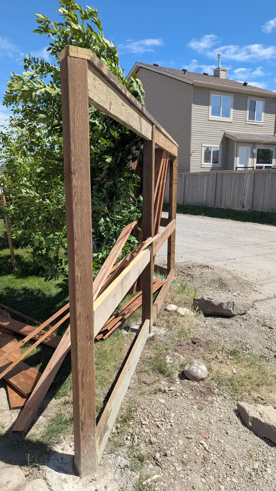 Collapsed and broken wood fence frame with loose boards before it was rebuilt in Calgary