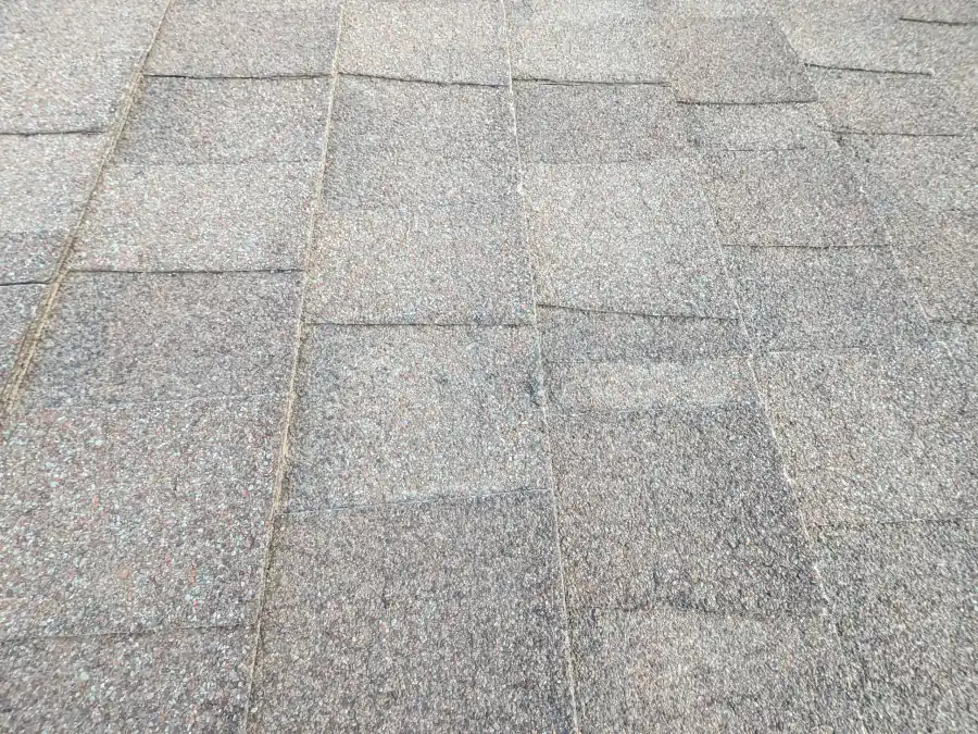 Asphalt shingles with hail bruising and granule loss on a Calgary roof found during a hail damage inspection