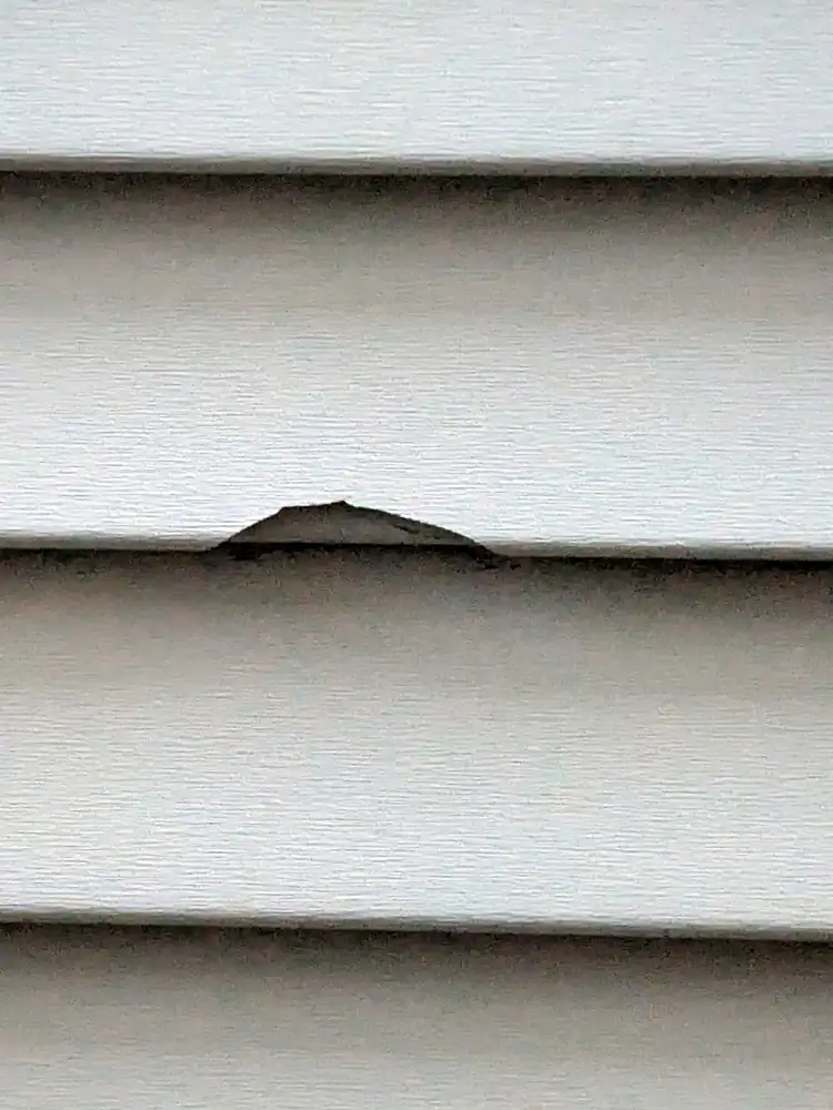 Vinyl siding panel cracked by hail on a Calgary home, found during a hail damage inspection