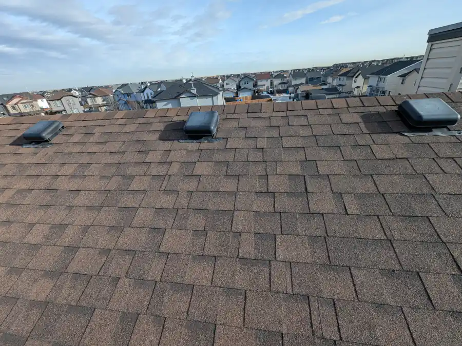 Asphalt shingle roof with three roof vents and a view over a Calgary neighbourhood during a roof inspection