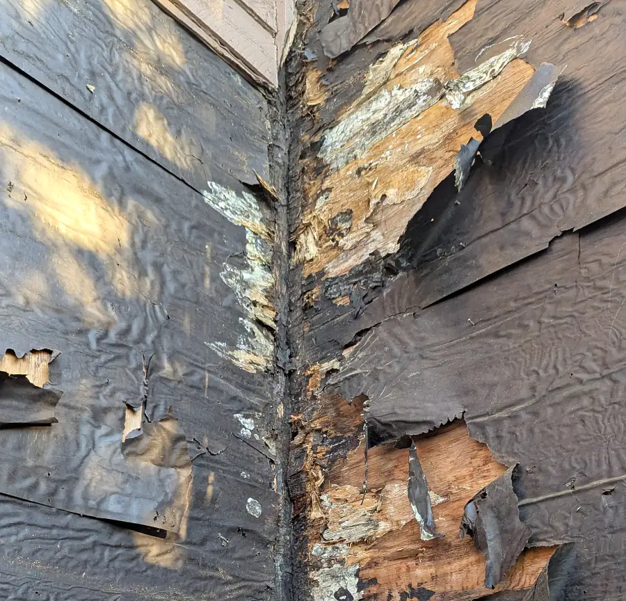 Rotted sheathing and peeling building paper at a wall corner after old siding was removed on a Calgary home