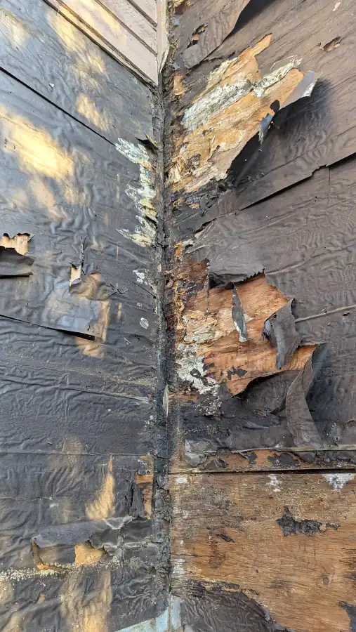 Rotted sheathing and failed building paper at a wall corner behind removed siding on a Calgary townhouse